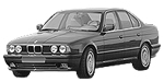BMW E34 P0254 Fault Code